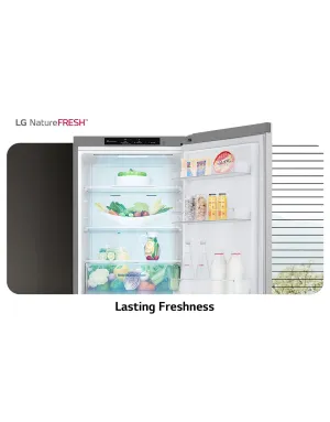 Réfrigérateur LG combiné 341 litres GR-B499FMGW
